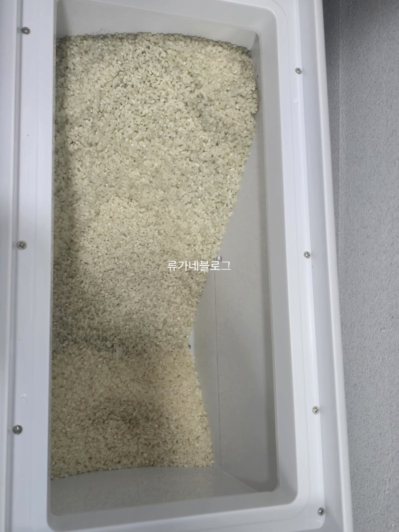 헤르젠 쌀냉장고 구매 솔직후기 최악