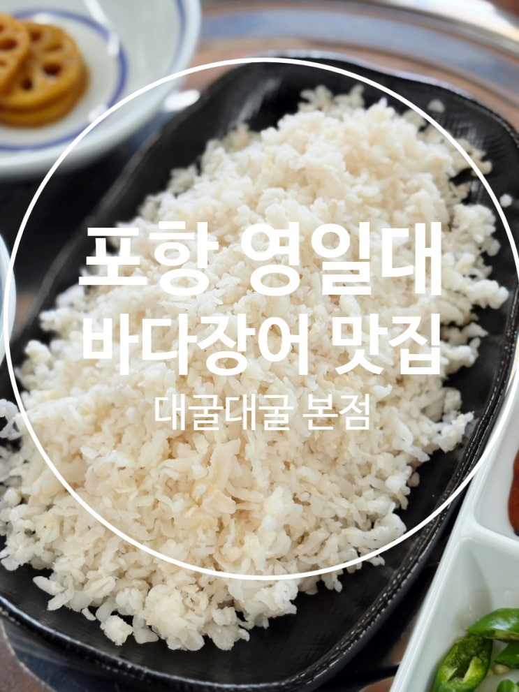  포항 바다장어 맛집 영일대 해수욕장 술집 대굴대굴 본점
