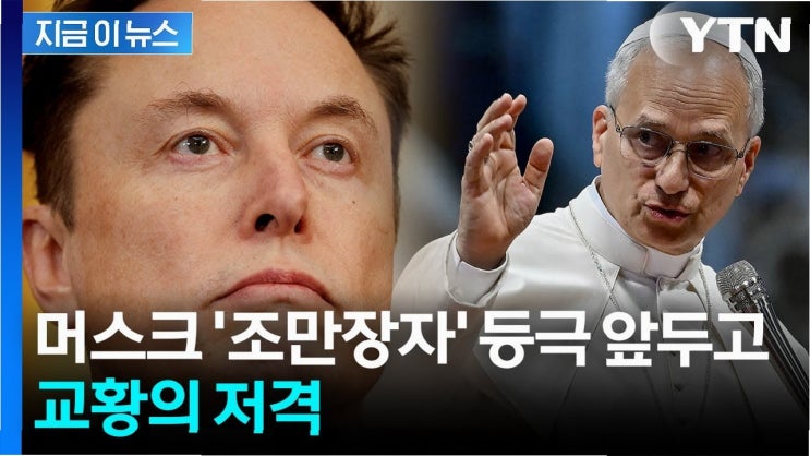 <b>교황</b> 레오 14세, 일론 <b>머스크 보너스 비판</b>: '600배 연봉'의... 