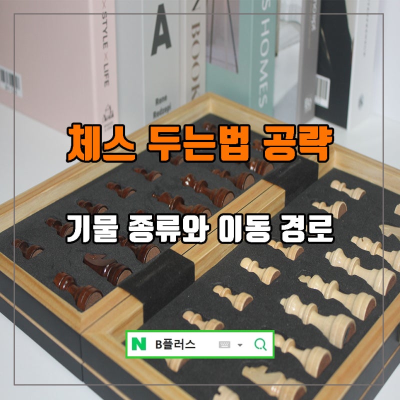 체스 두는법 말 이름 및 이동 방법 초보자 꿀팁 정리