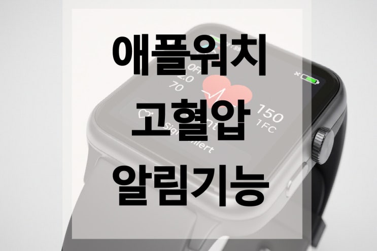  애플워치 기능 고혈압 알림으로 예방하자