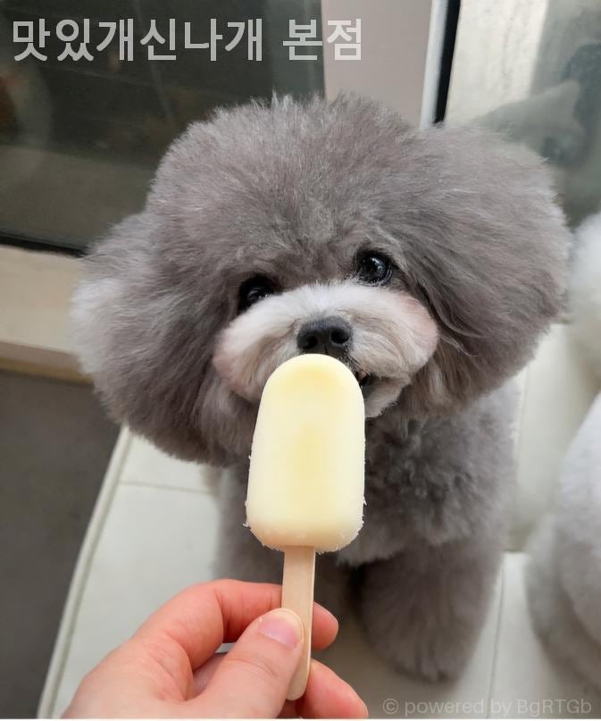 맛있개신나개 본점