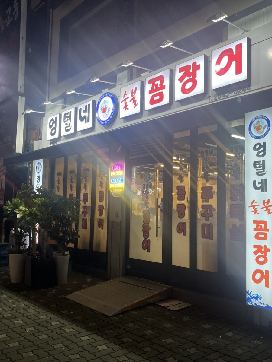 엉털네꼼장어 사진 1