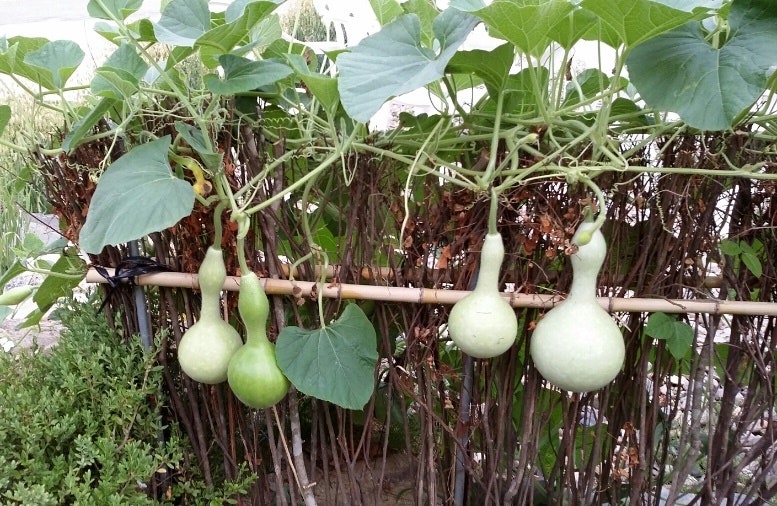 삼막골 사진 1