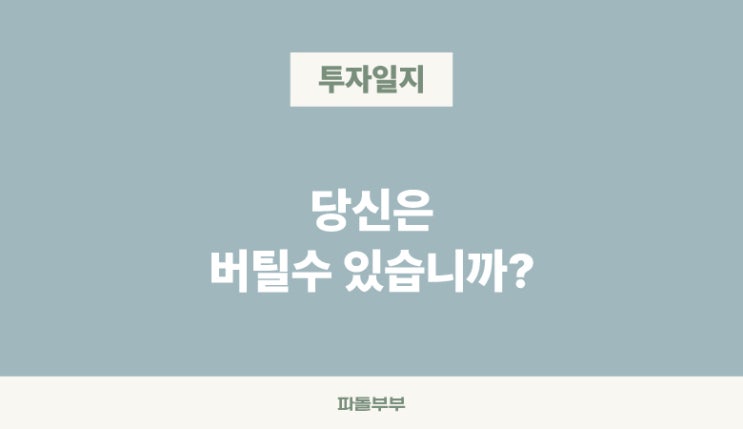  아이렌 IREN 주가, 지금은 이렇게 올라서 환호하지만...