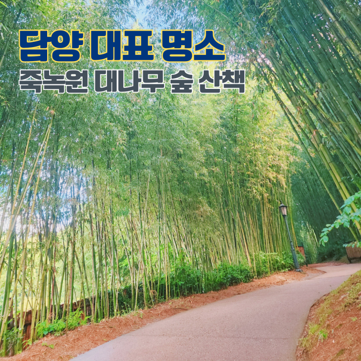  담양 명소 추천 죽녹원 대나무 숲길 산책 전남 여행지 가볼만한 곳 알포인트/1박2일/드라마 촬영지
