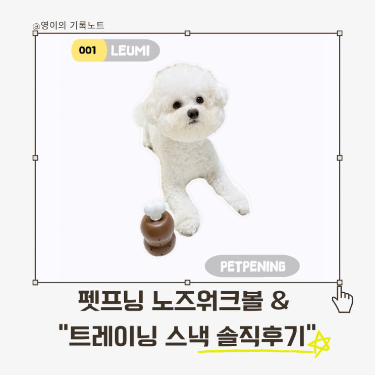  펫프닝 강아지 노즈워크볼, 저칼로리간식으로 즐기는 똑똑한 놀이