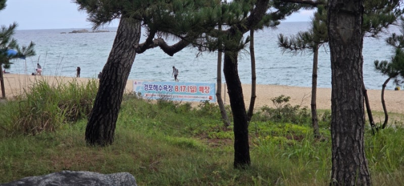 [9월의 여름휴가2] 강원도 여행. 강릉 경포해수욕장 폐장 후 물놀이/ 파라솔, 구명조끼, 튜브 ....