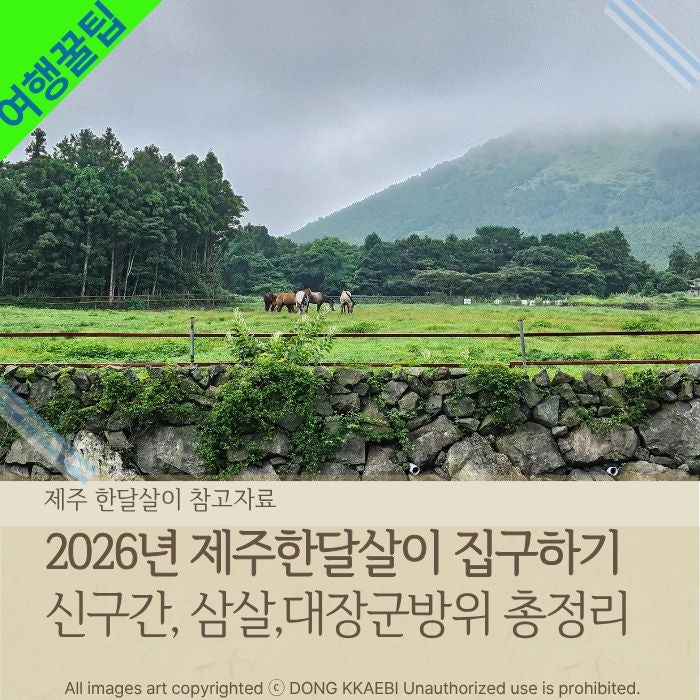 2026 제주 한달살이 숙소구할때 고려해야할 제주풍습 신구간