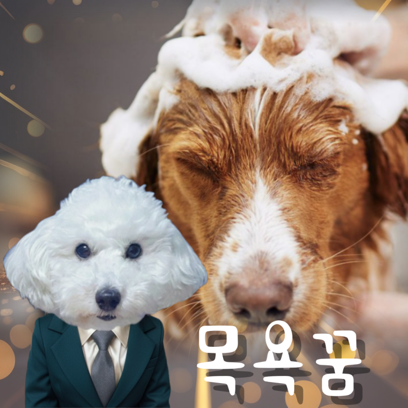 새끼 강아지 목욕 꿈 해몽, 관계의 변화를 상징?