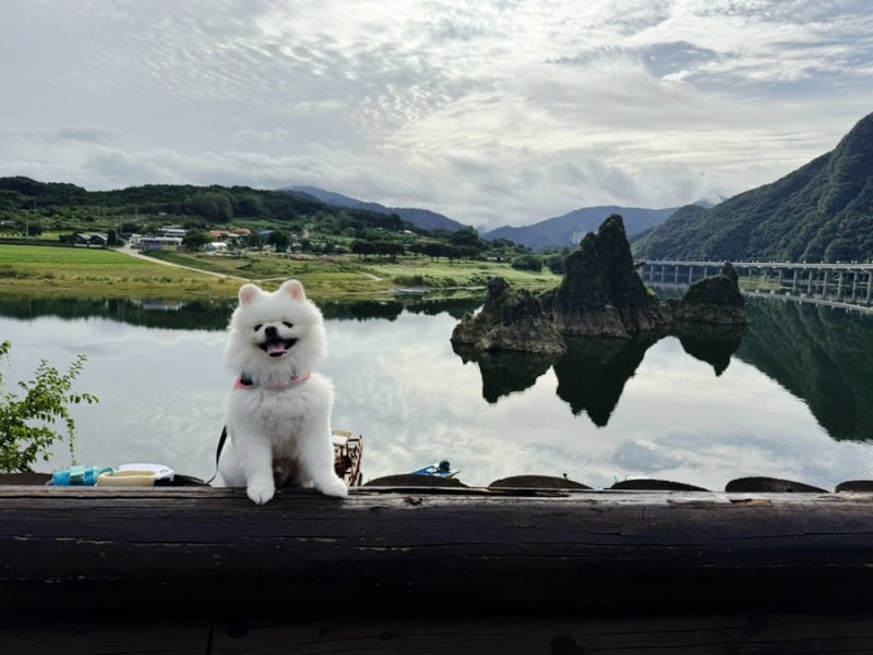 사진 10