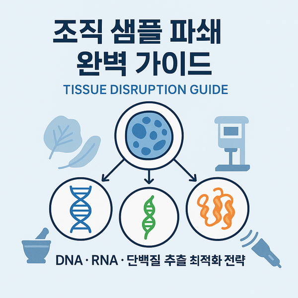  조직 샘플 파쇄(Tissue Disruption) 완벽 가이드: DNA·RNA·단백질 추출을 위한 최적화 전략