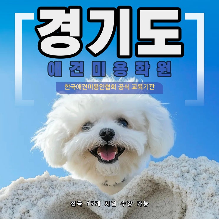  경기도애견미용학원 실무 중심 교육 안내