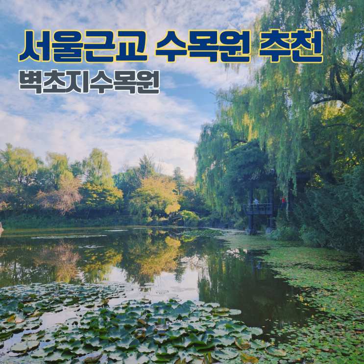  파주 벽초지수목원 늦여름 가을 꽃 구경 서울근교 당일치기 여행 데이트코스 가볼만한 곳