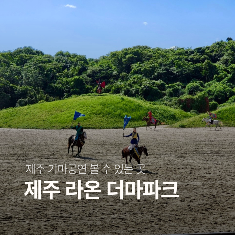 제주 더마파크 기마 공연 볼수있는곳 관람 입장료 꿀팁 정리