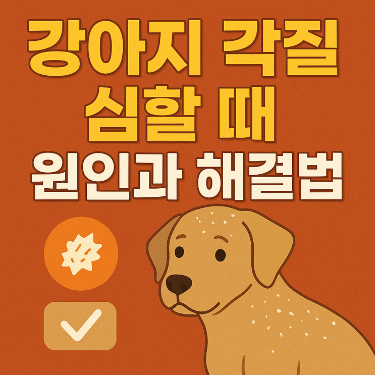  강아지 각질 심할 때 원인과 해결법