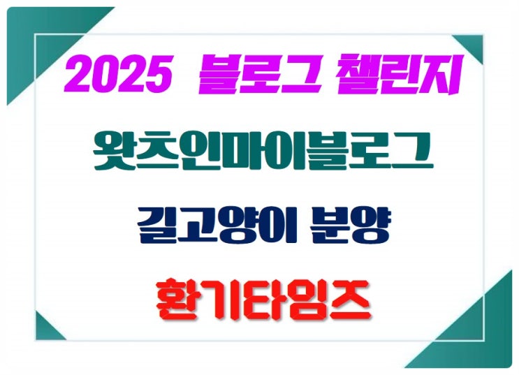  길고양이 분양_2025 블로그 챌린지_왓츠인마이블로그_환기타임즈