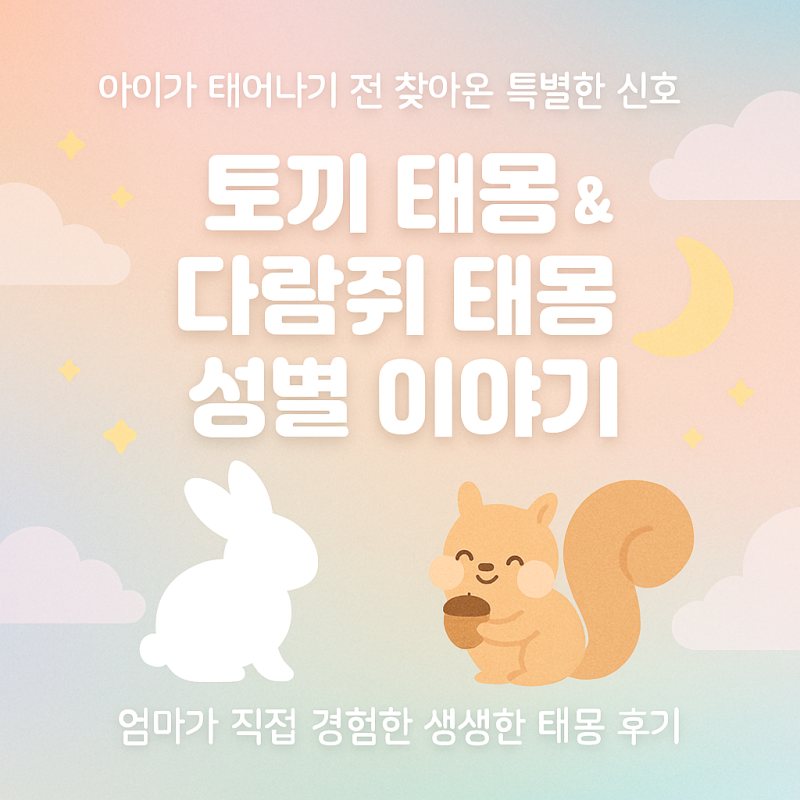 토끼 태몽·다람쥐 태몽 성별 해석 (둘째·셋째 임신 이야기)