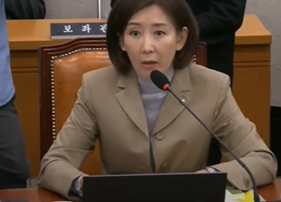 <b>나경원 간사</b> 선임안 ‘<b>부결</b>’… 법사위, 왜 여야는... 