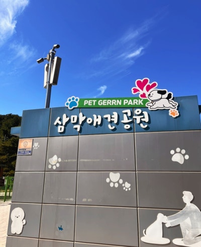 사진 5