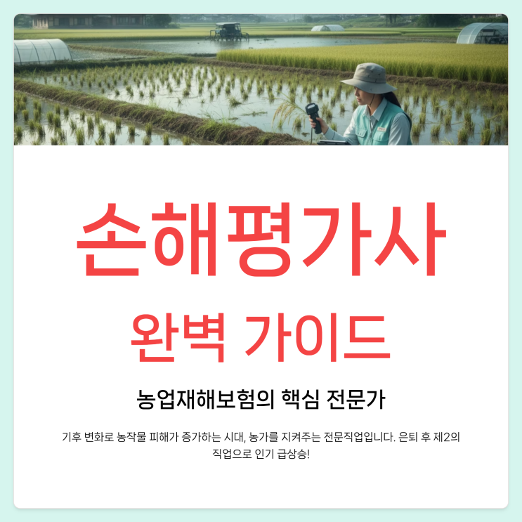  손해평가사 연봉 전망 하는일 난이도 시험일정 취업 총정리