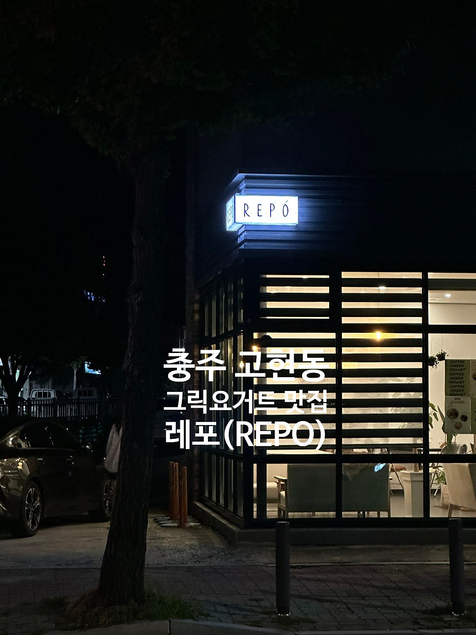 레포 사진 3