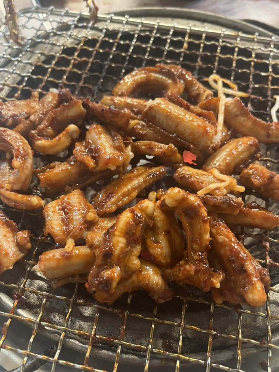 엉털네꼼장어 사진 6