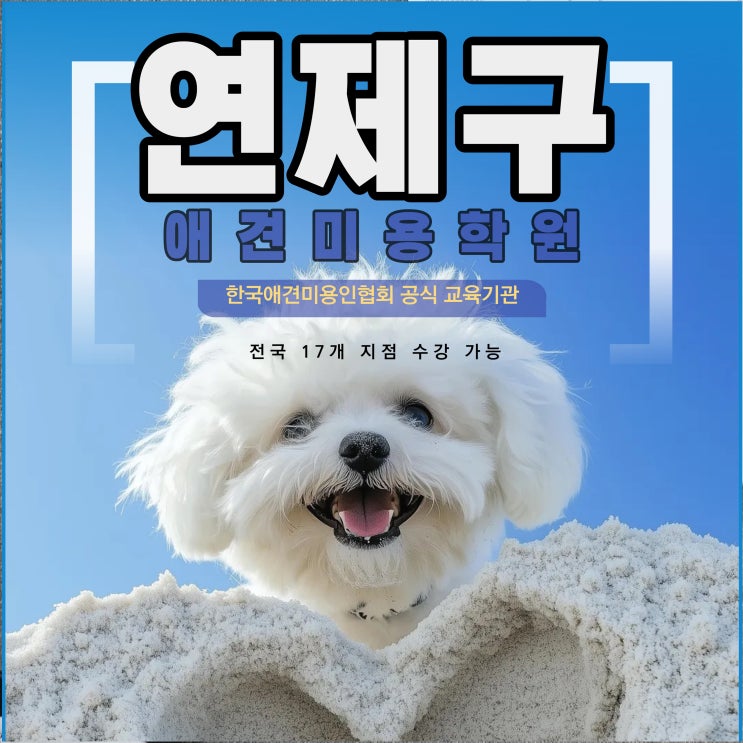 연제구애견미용학원 취업과 창업을 위한 실무 중심 교육