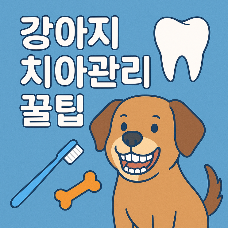  강아지 치아관리 꿀팁! 건강한 치아가 오래 가는 비결