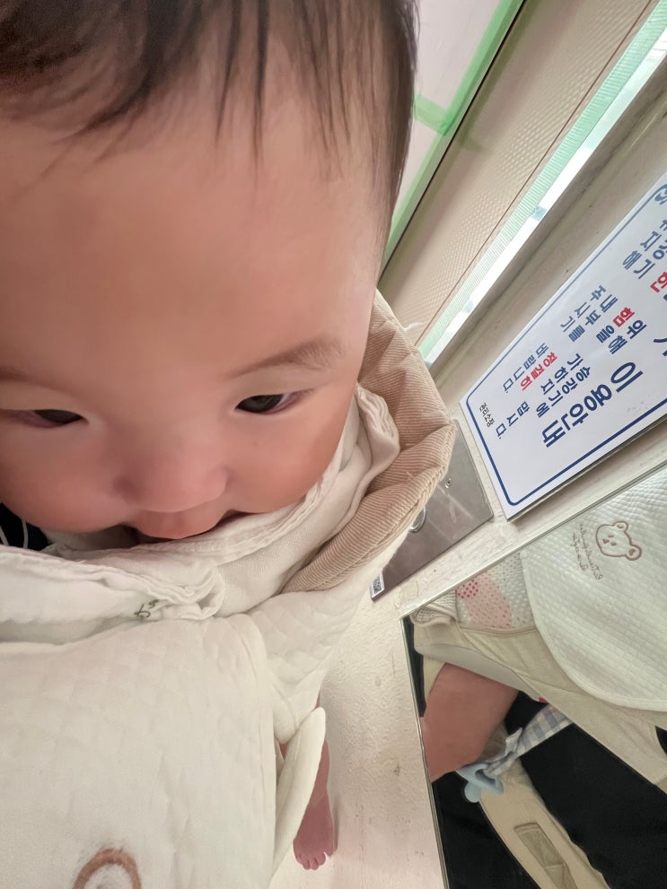  육아일기_5월 말~ 6월 중순 둥이의 일상