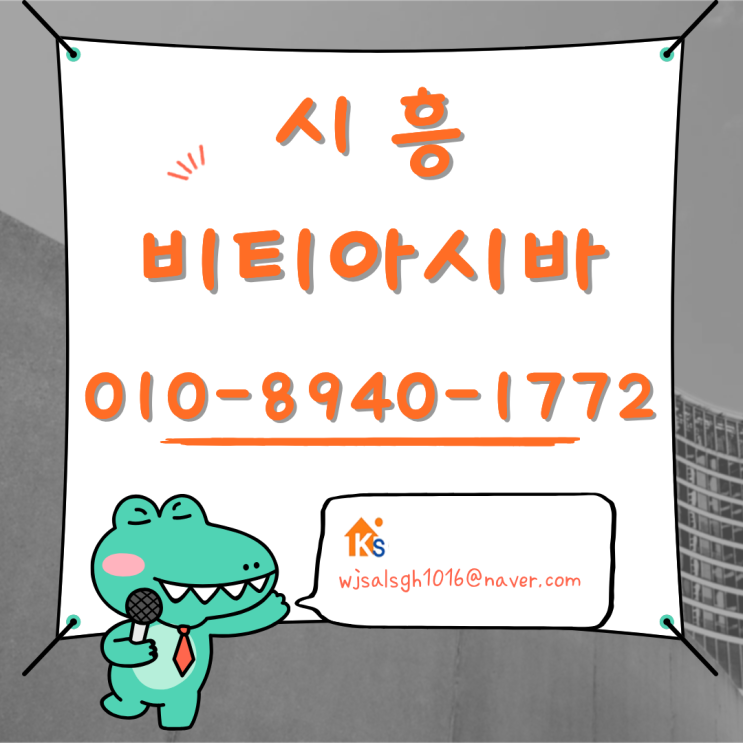  시흥 비티아시바 / 피티아시바 임대 및 판매 - 가성비 고품질