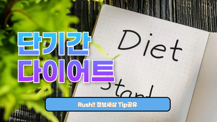  단기간 다이어트를 하려면 이렇게 하세요: 건강하게 빠르게 효과!!