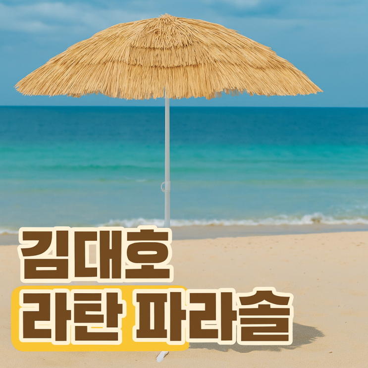  나혼산 김대호 신발 샌들 실내 인테리어용 라탄 파라솔까지!