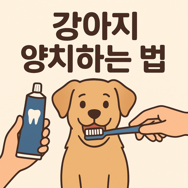  강아지 양치하는 법, 제대로 배우고 실천하기