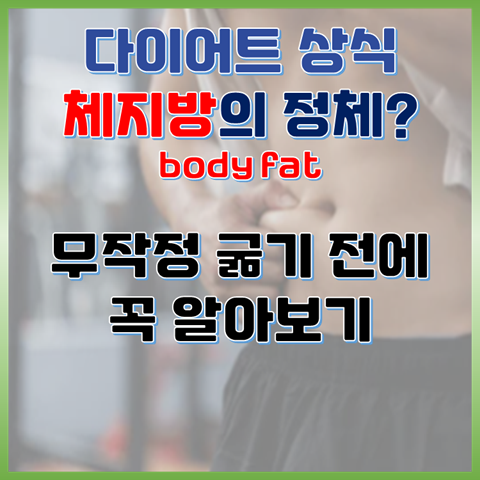  무작정 굶기 전에 꼭 알아야 할 체지방의 정체