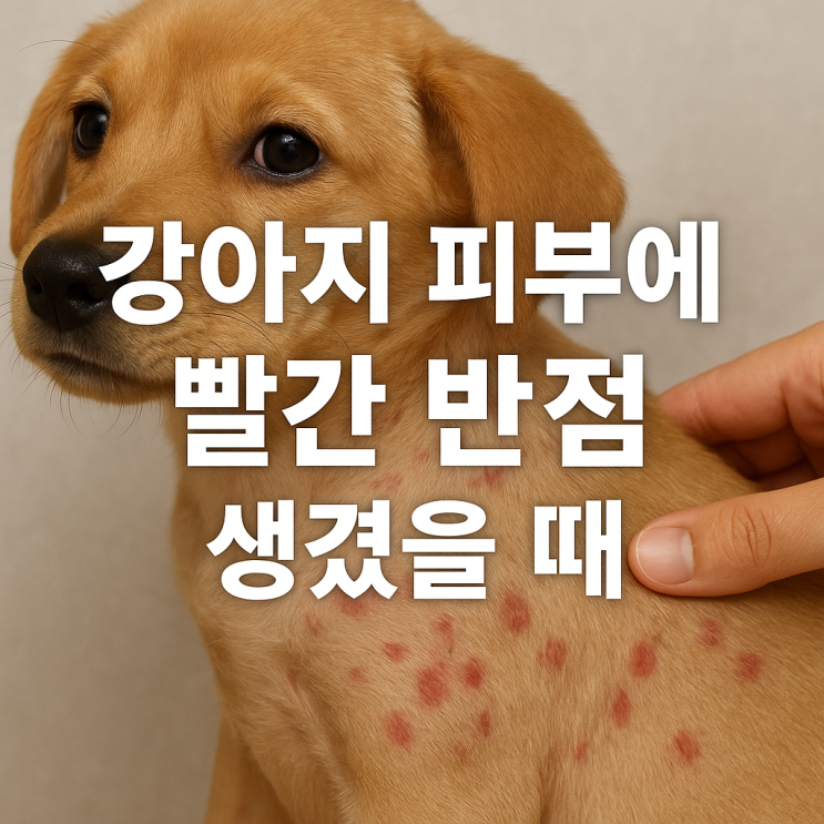 강아지 피부에 빨간 반점 생겼을 때 원인과 대처법