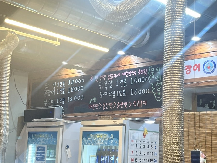 엉털네꼼장어 사진 2