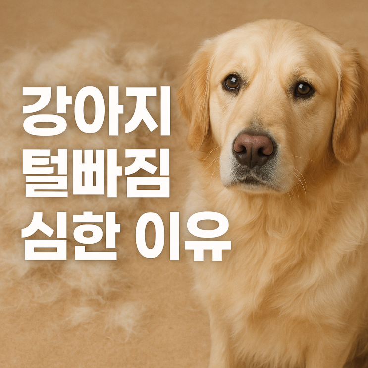  강아지 털빠짐 심한 이유와 관리법