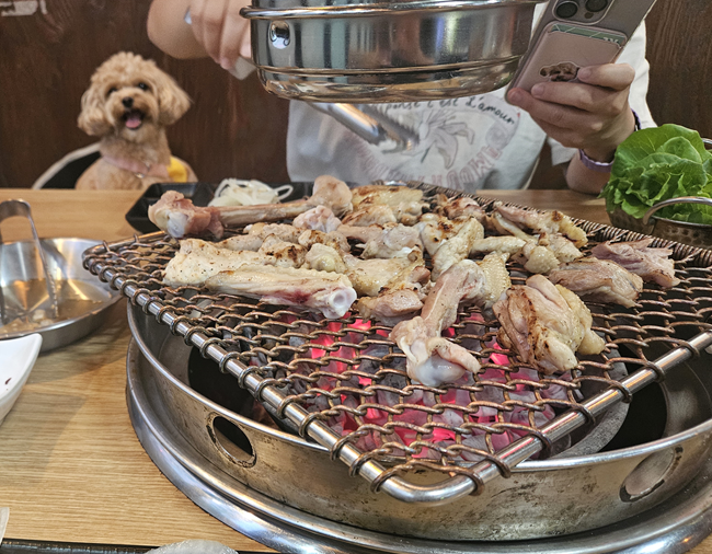  거제 장승포 맛집, 육즙 폭발! 장승포 닭 숯불구이 - 애견동반