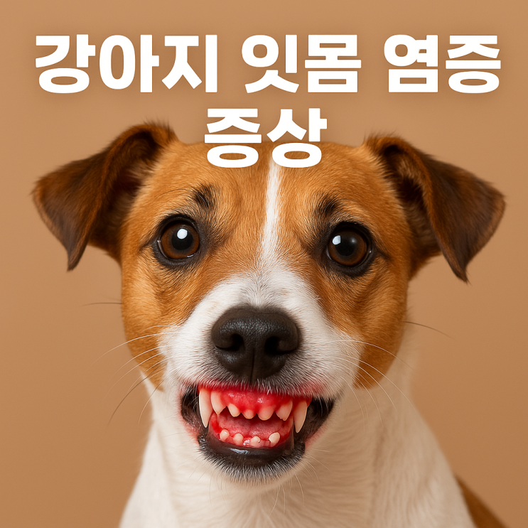  강아지 잇몸 염증 증상과 관리법