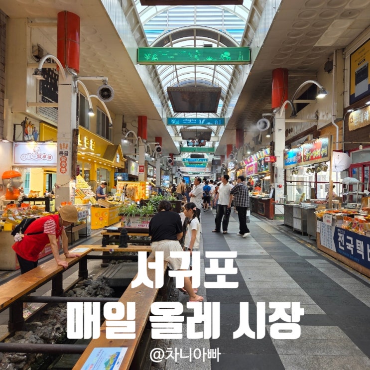  제주도  서귀포 매일 올레 시장 아이와 방문 후기