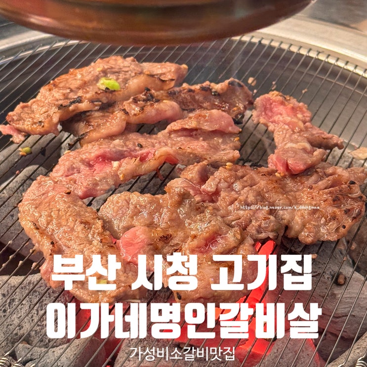  부산시청 고기집 '이가네명인갈비살 부산시청점' 가성비 소갈비살 맛집 내돈내산