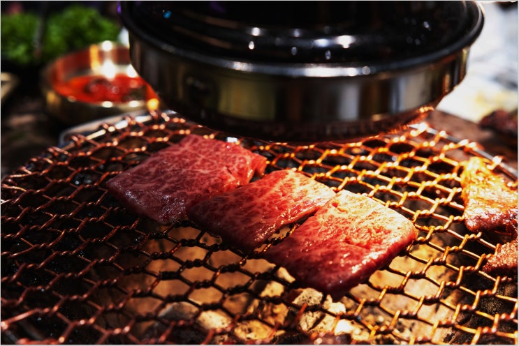  강남 분위기 맛집 너마늘 안동갈비 회식 후기