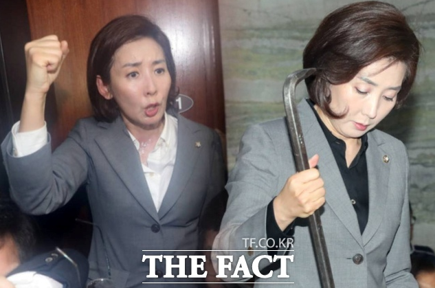 '징역 2년 구형' <b>나경원</b> 법사위 <b>간사</b> 선임 불발