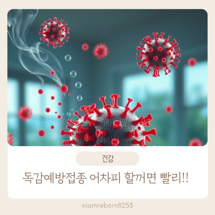  2025–2026 독감예방접종 총정리｜성남시 전 시민 무료? 일정·병원·가격 한 번에