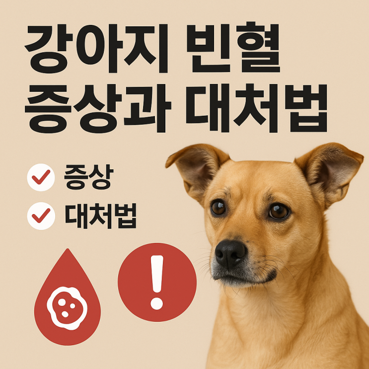  강아지 빈혈 증상과 대처법