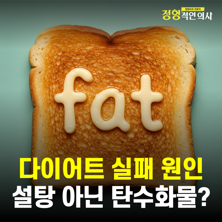  다이어트 실패는 설탕이 아니라 탄수화물?  (의사작성)