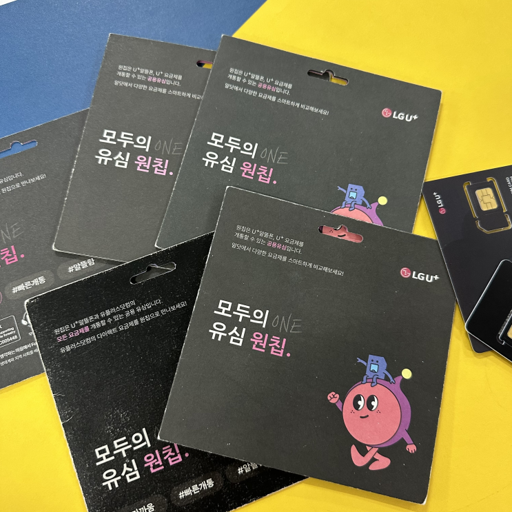  LG 선불폰 개통 모두의 유심 원칩 활용 방법