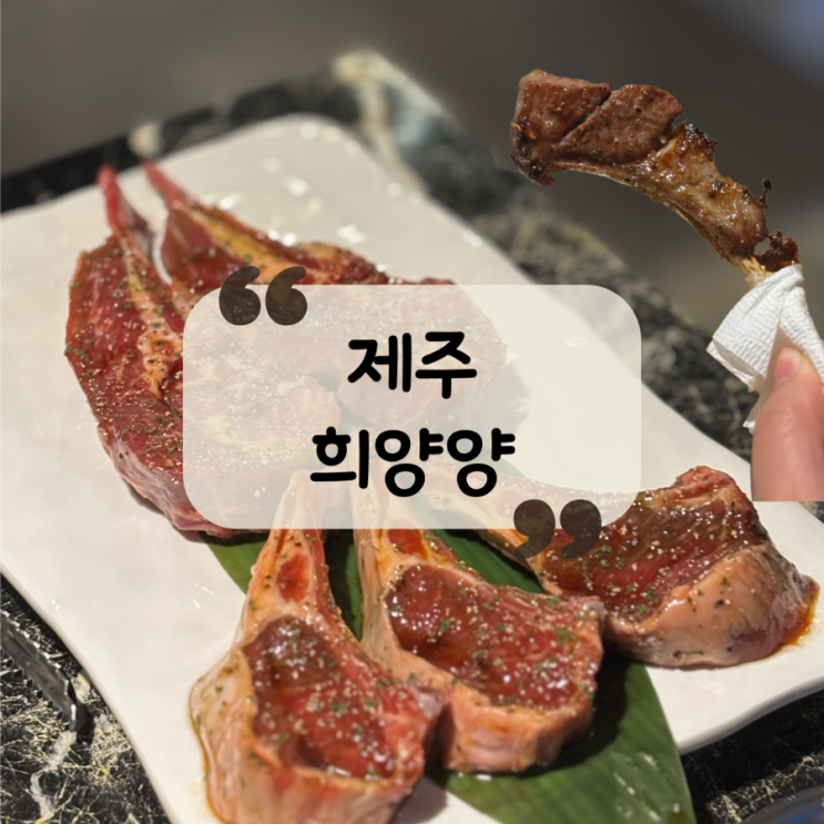  [제주 맛집]제주 노형동 양고기 맛집|마라탕, 양탕 맛집“희양양”노형직영점