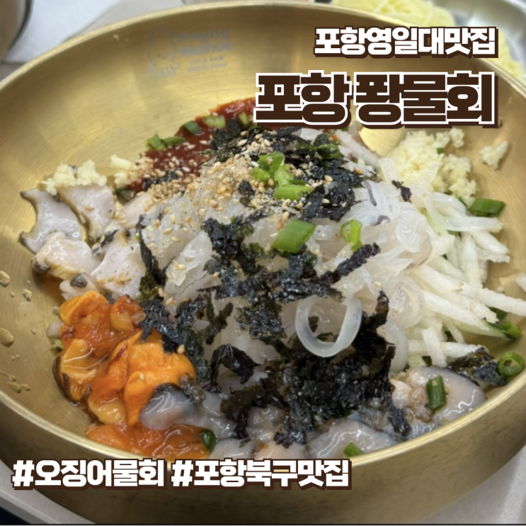  포항영일대물회맛집 오징어전문 퐝물회 솔직후기